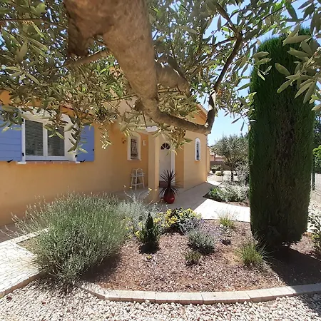 Authentique Mas Avec Piscine En Provence * Moissac