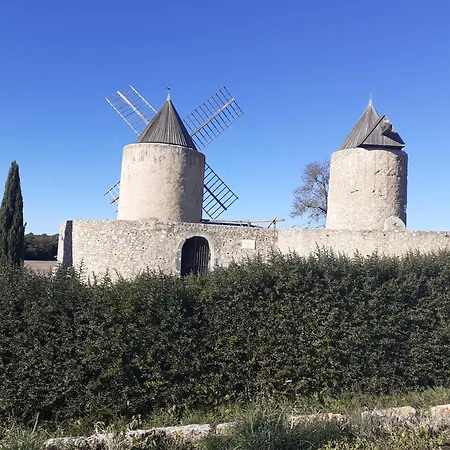 Authentique Mas Avec Piscine En Provence Homestay Moissac
